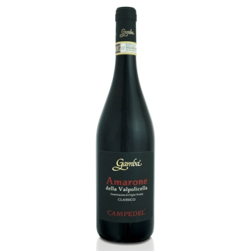 Amarone della Valpolicella DOCG Classico Campedel 2018 - Gamba