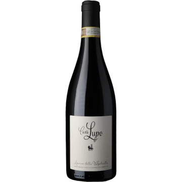 Amarone della Valpolicella DOCG 2020 - Casa Lupo Paladin