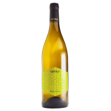 Chardonnay Setteterre IGT Toscana 2023 - Cecilia