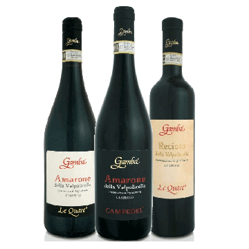 Degustazione 3 bt Valpolicella - Gamba