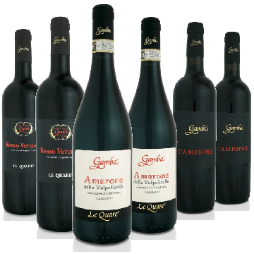 Degustazione 6 bt Valpolicella - Gamba