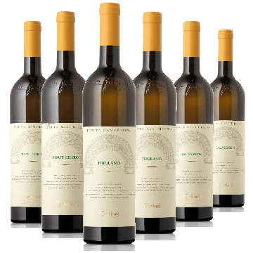 Degustazione 6 bt Collio - Fantinel 