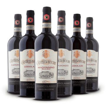 Degustazione 6 bt Chianti - Castelvecchi 