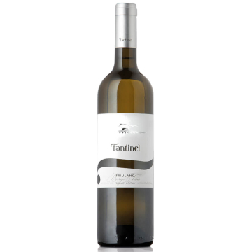 Friulano DOC Friuli Borgo Tesis 2023 - Fantinel