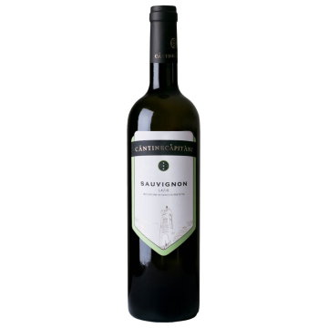 Sauvignon IGT Lazio - Cantine Capitani