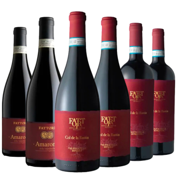 Degustazione 6 bt Rossi Valpolicella - Fattori