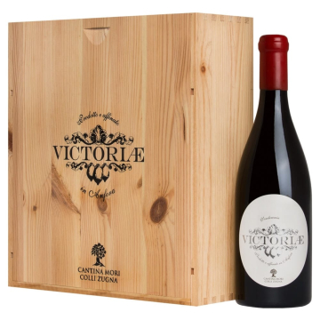 Victoriae Bianco Anfora Vallagarina IGT 2016 3 bottiglie in Cassa Legno originale – Mori Colli Zugna